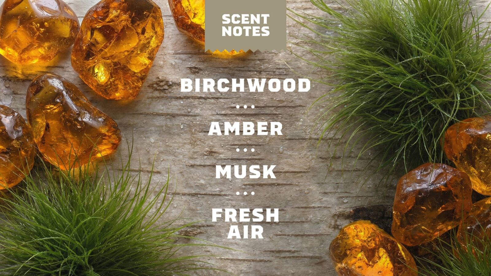 14 oz Birchwood Breeze Body Wash - Image 4
