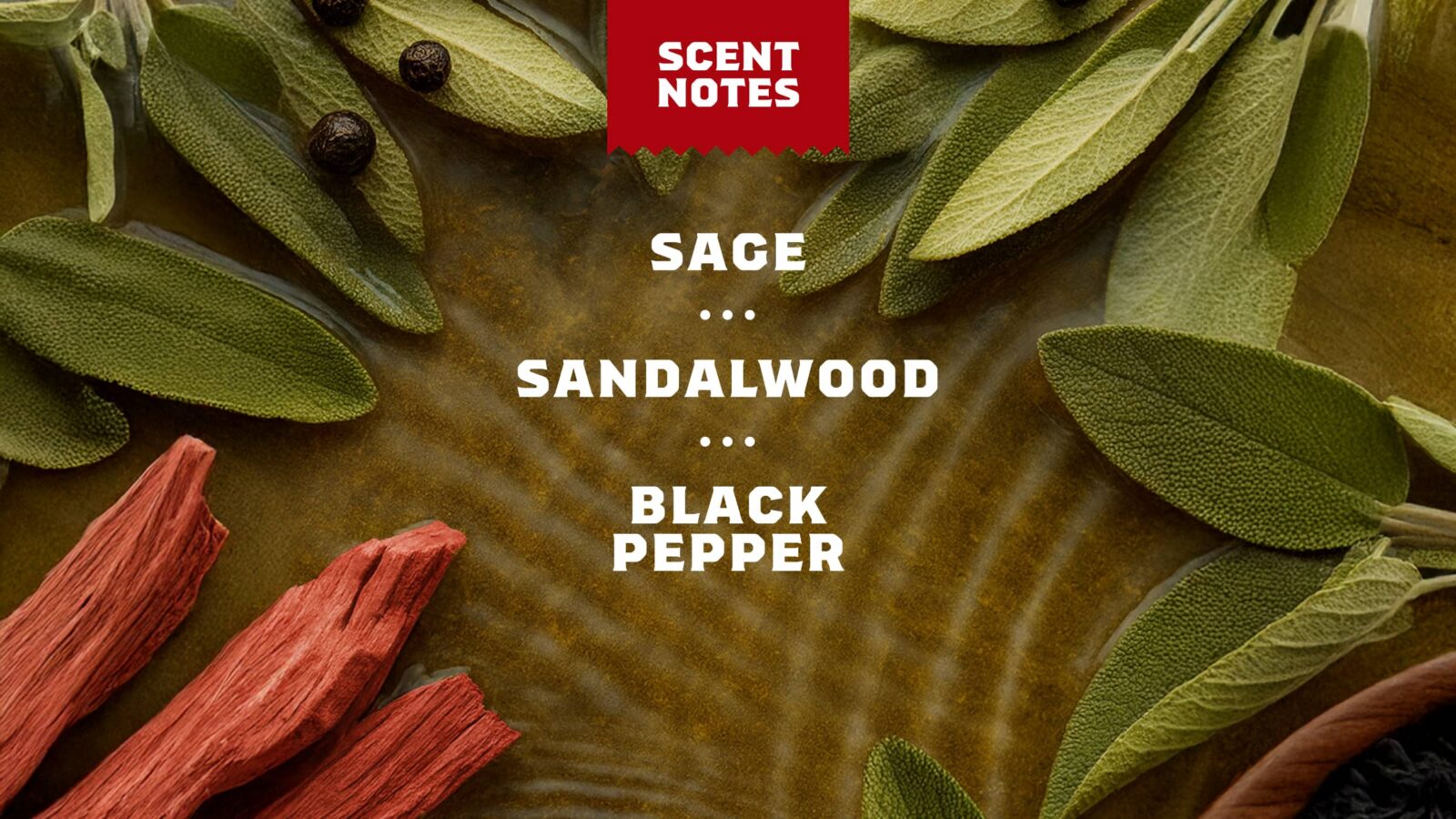 14 oz Sandalwood Summit Body Wash - Image 4
