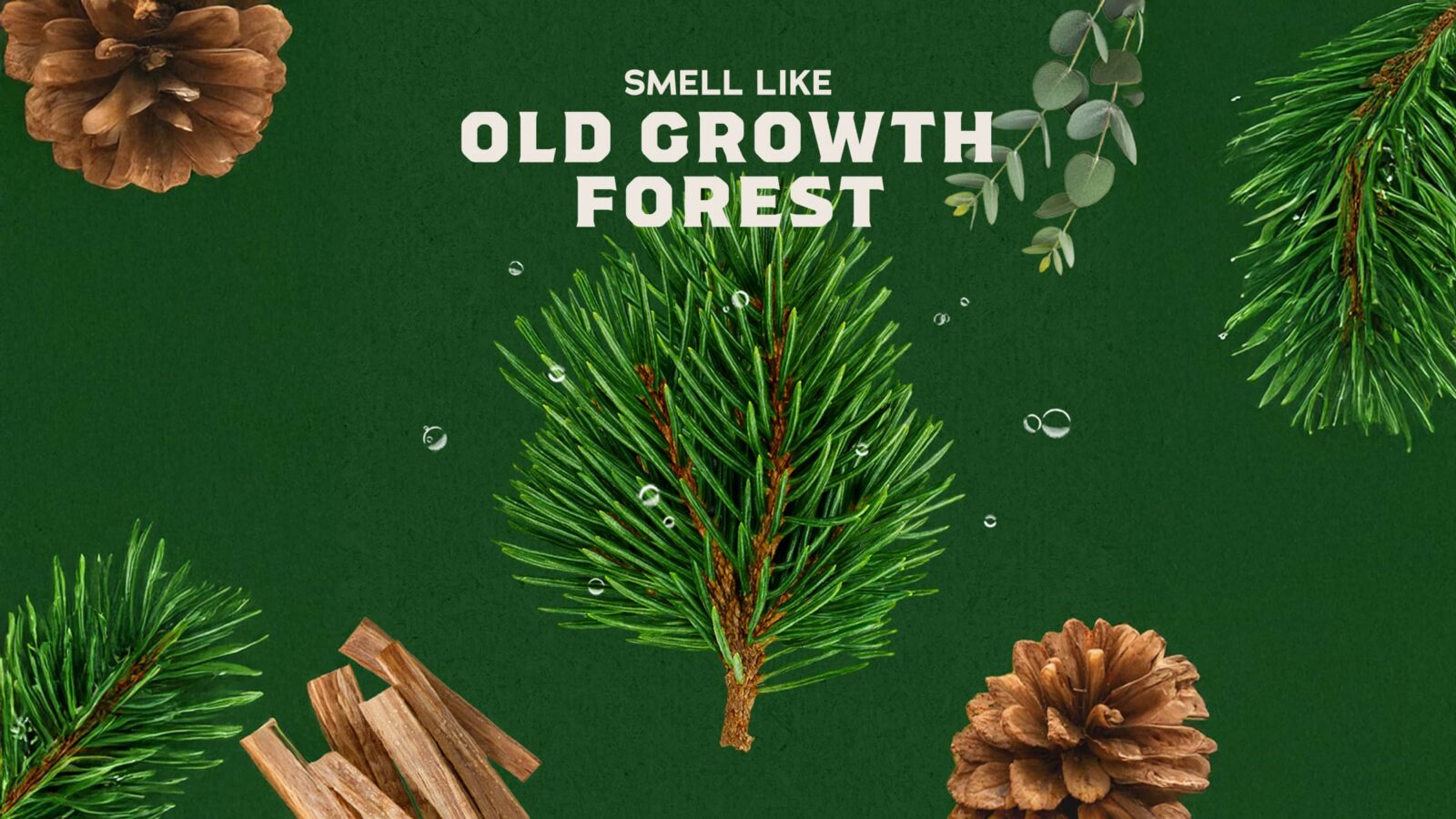 Woodland Pine Cologne - Detail