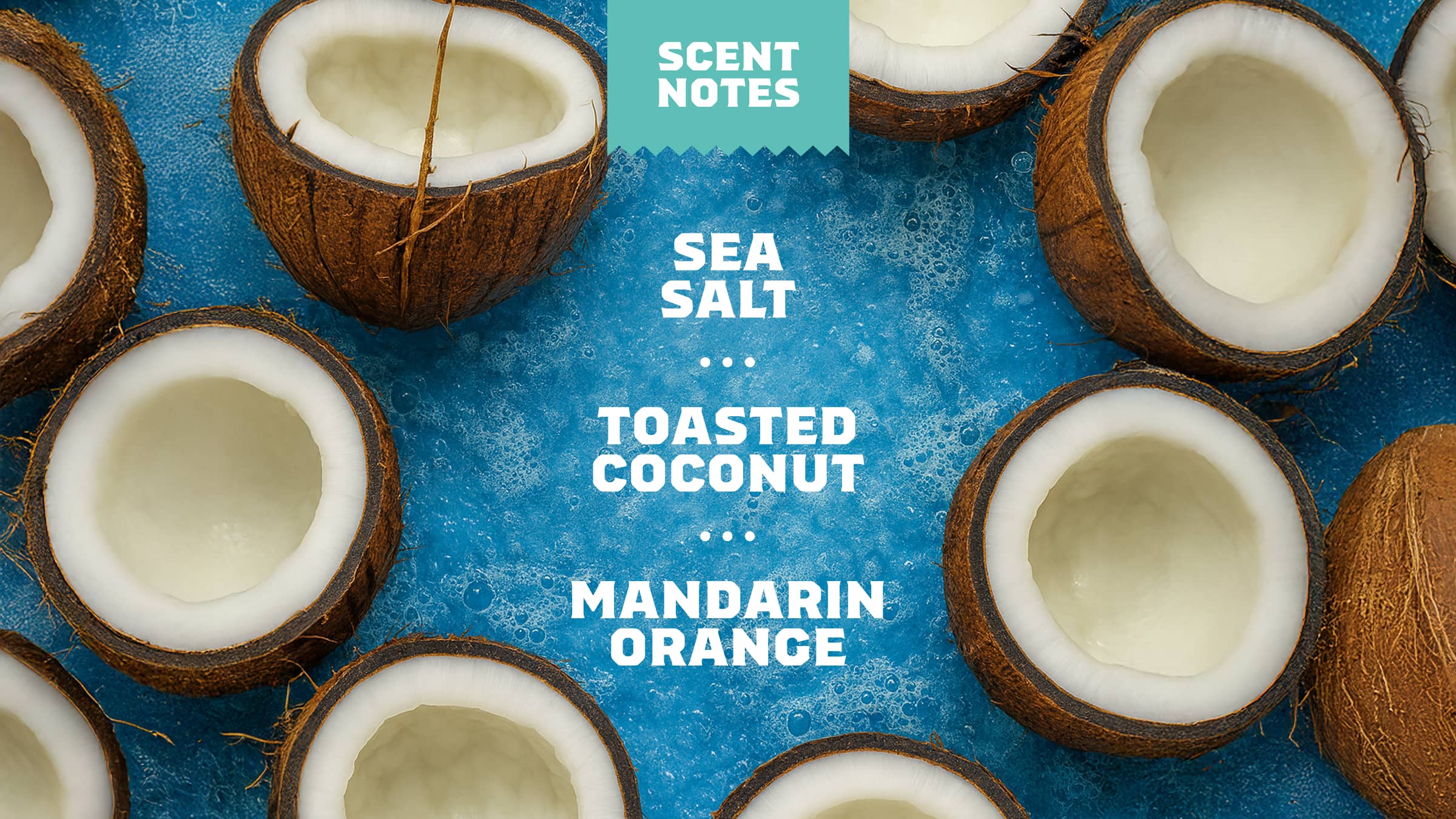 Coconut Castaway Hair Care Kit